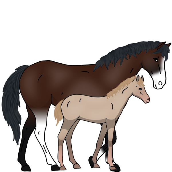 horse breeding games online free